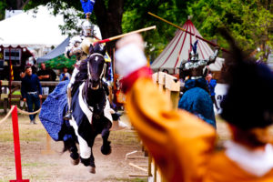 Jousting Lysts on the Lake